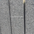 Pietra di granito grigio lastra su strada